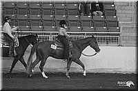 4H-State-Show-2005-0769.jpg