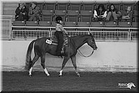 4H-State-Show-2005-0770.jpg