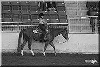 4H-State-Show-2005-0774.jpg