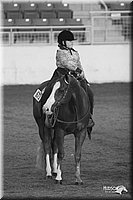 4H-State-Show-2005-0779.jpg