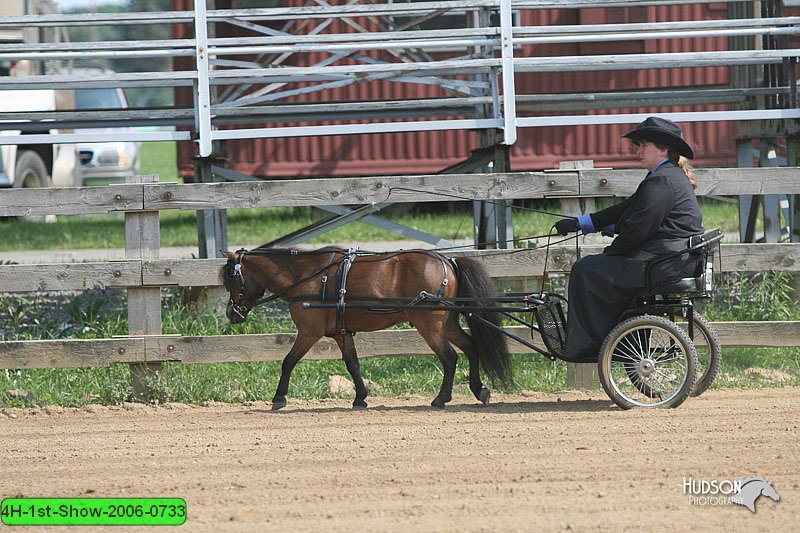 4H-1st-Show-2006-0733.jpg