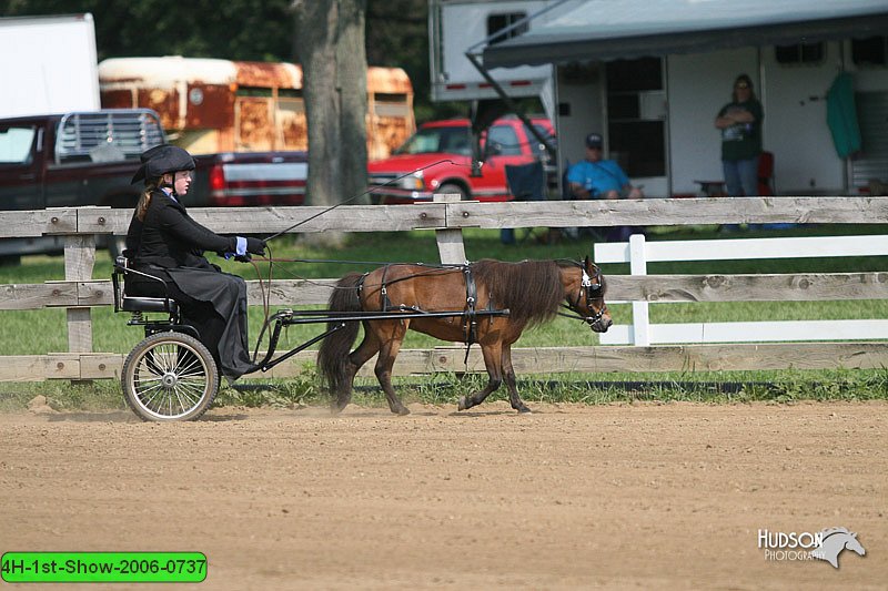 4H-1st-Show-2006-0737.jpg