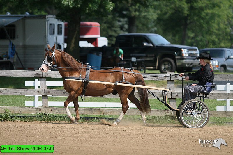 4H-1st-Show-2006-0740.jpg