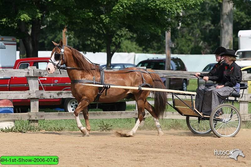 4H-1st-Show-2006-0743.jpg