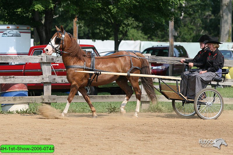 4H-1st-Show-2006-0744.jpg