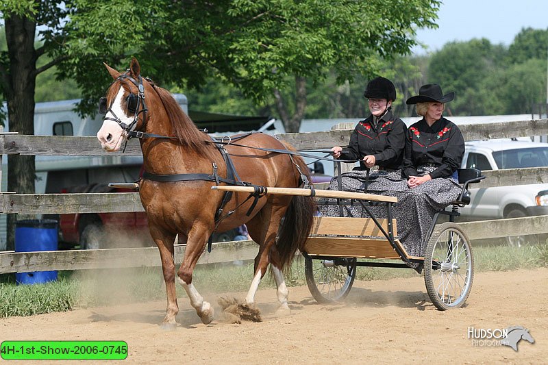 4H-1st-Show-2006-0745.jpg