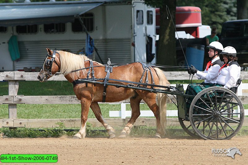 4H-1st-Show-2006-0749.jpg