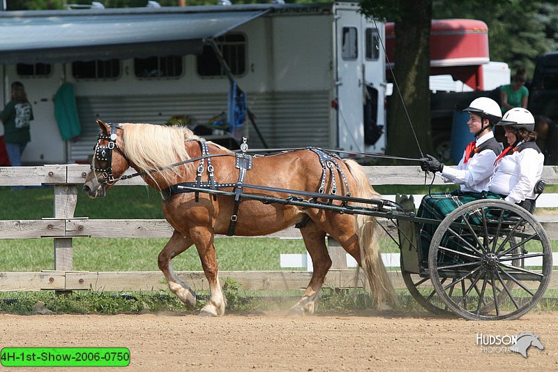 4H-1st-Show-2006-0750.jpg