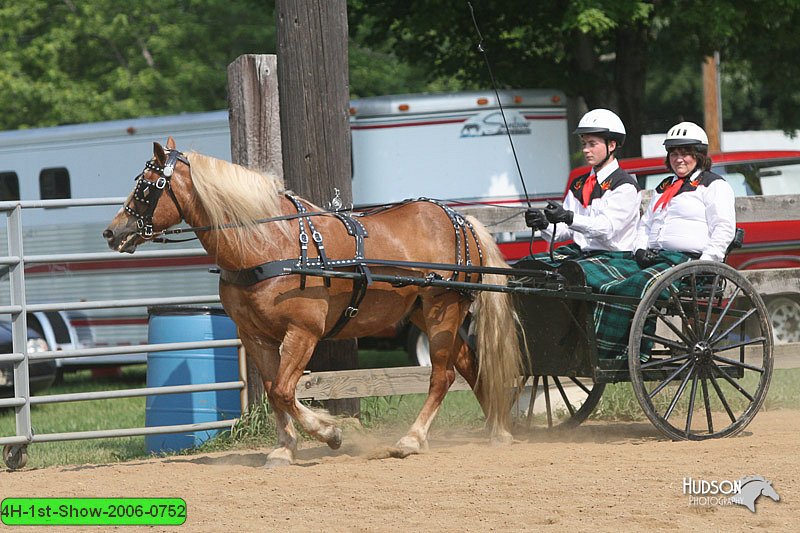 4H-1st-Show-2006-0752.jpg