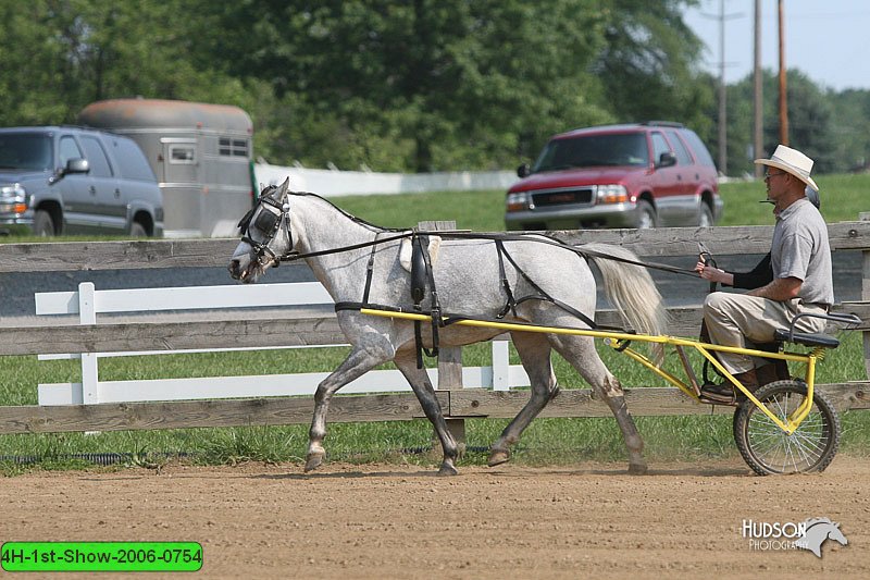 4H-1st-Show-2006-0754.jpg