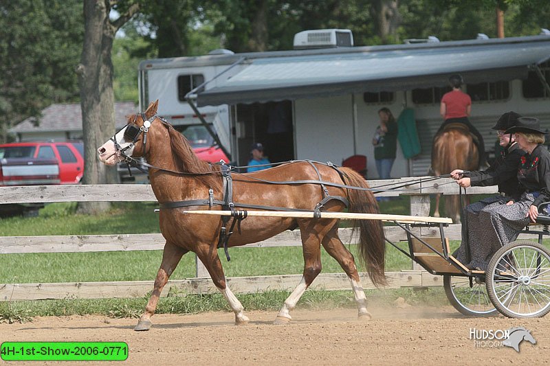 4H-1st-Show-2006-0771.jpg