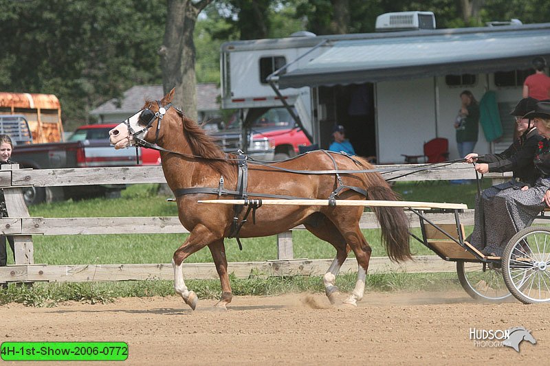 4H-1st-Show-2006-0772.jpg