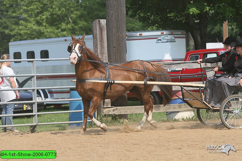 4H-1st-Show-2006-0773.jpg