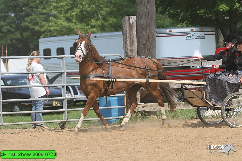 4H-1st-Show-2006-0774.jpg