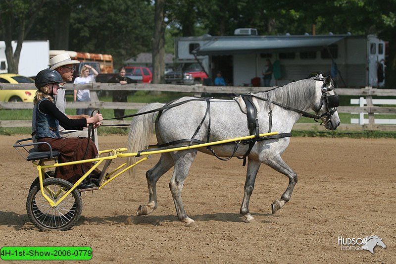 4H-1st-Show-2006-0779.jpg