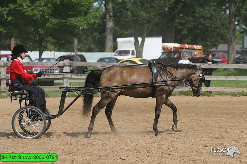 4H-1st-Show-2006-0781.jpg