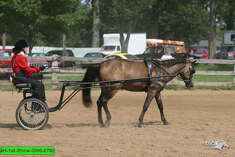 4H-1st-Show-2006-0782.jpg