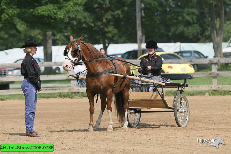 4H-1st-Show-2006-0785.jpg