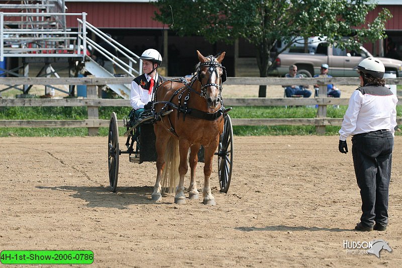 4H-1st-Show-2006-0786.jpg