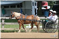 4H-1st-Show-2006-0749.jpg