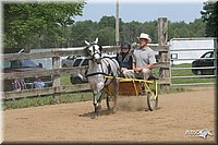 4H-1st-Show-2006-0760.jpg