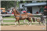 4H-1st-Show-2006-0772.jpg