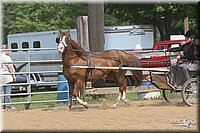 4H-1st-Show-2006-0773.jpg