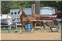 4H-1st-Show-2006-0774.jpg