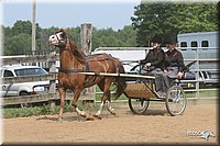 4H-1st-Show-2006-0775.jpg