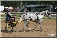 4H-1st-Show-2006-0780.jpg