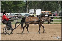 4H-1st-Show-2006-0781.jpg