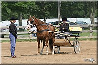 4H-1st-Show-2006-0785.jpg