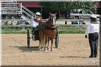 4H-1st-Show-2006-0786.jpg