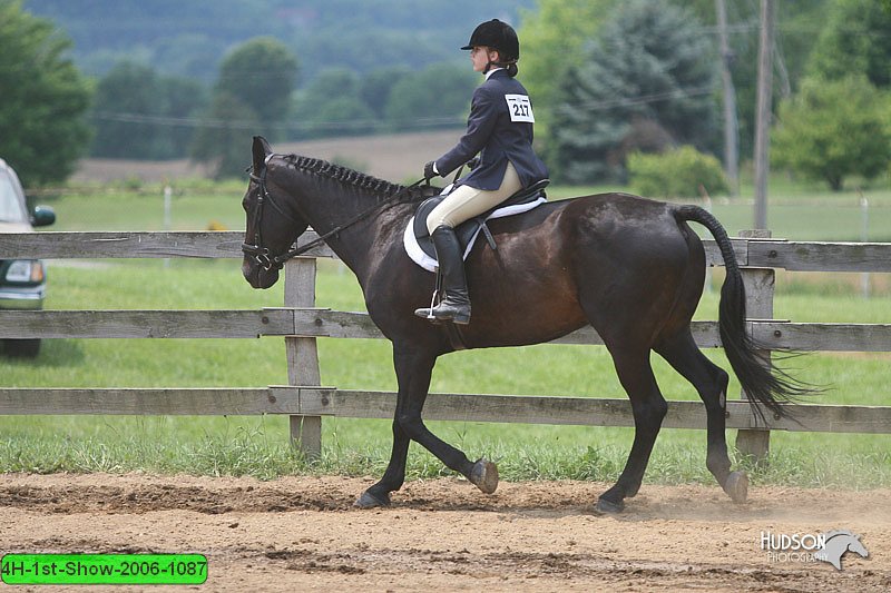 4H-1st-Show-2006-1087.jpg