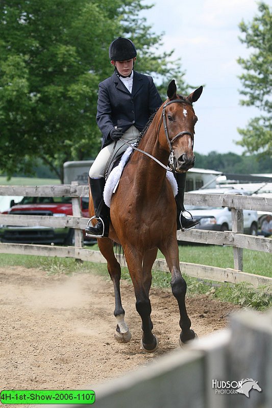 4H-1st-Show-2006-1107.jpg