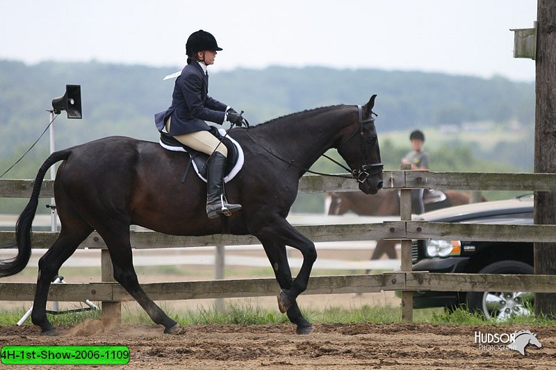 4H-1st-Show-2006-1109.jpg