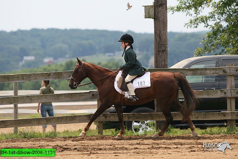 4H-1st-Show-2006-1131.jpg