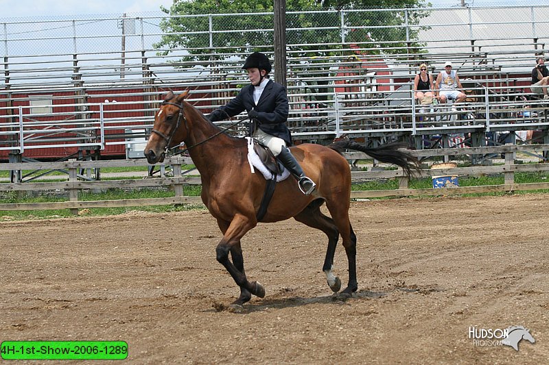 4H-1st-Show-2006-1289.jpg