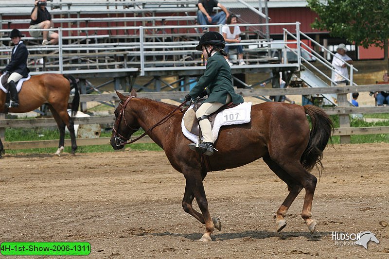 4H-1st-Show-2006-1311.jpg