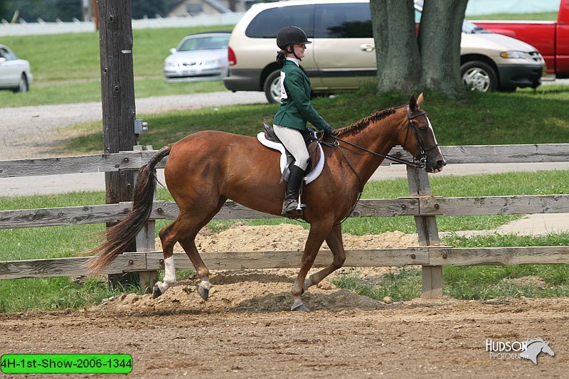 4H-1st-Show-2006-1344.jpg