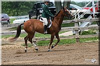 4H-1st-Show-2006-1300.jpg