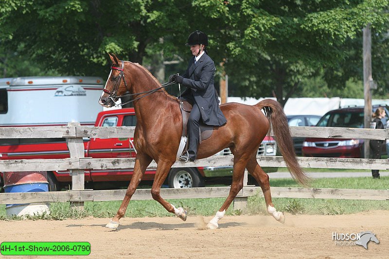 4H-1st-Show-2006-0790.jpg