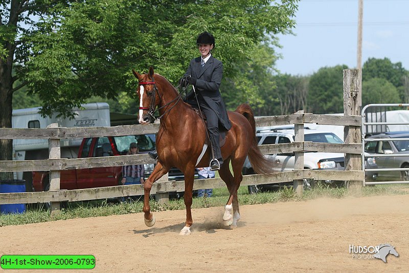 4H-1st-Show-2006-0793.jpg