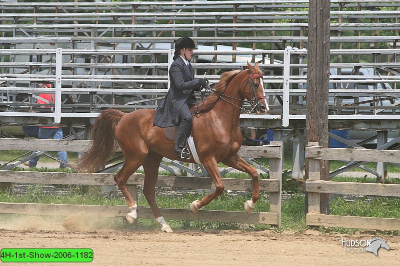 4H-1st-Show-2006-1182.jpg