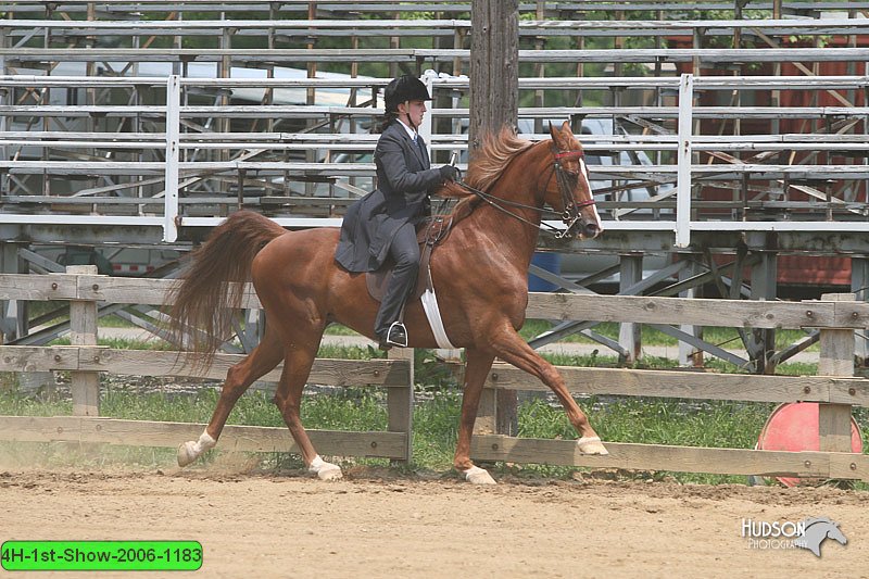 4H-1st-Show-2006-1183.jpg