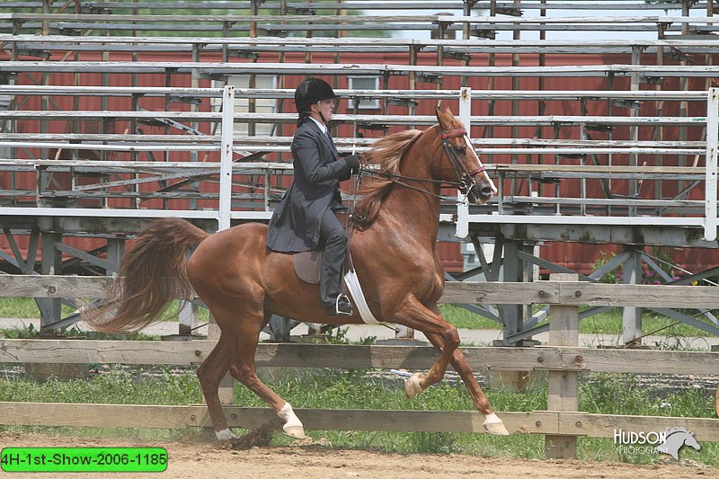 4H-1st-Show-2006-1185.jpg