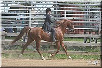 4H-1st-Show-2006-0806.jpg