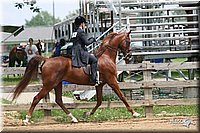 4H-1st-Show-2006-1181.jpg