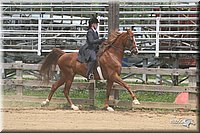 4H-1st-Show-2006-1183.jpg