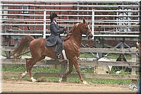 4H-1st-Show-2006-1186.jpg